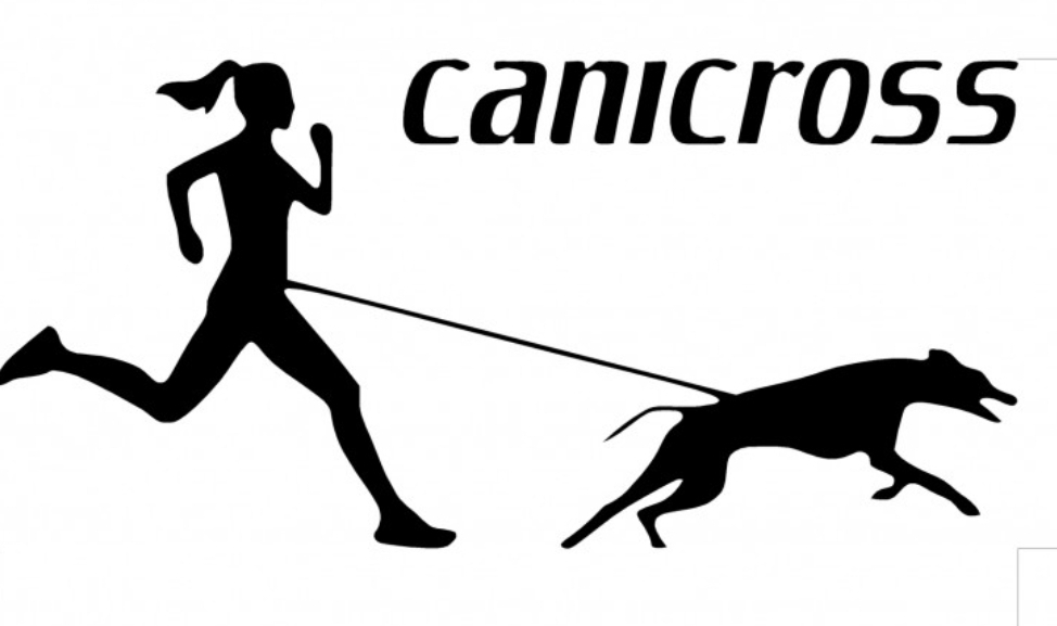 Canicross3