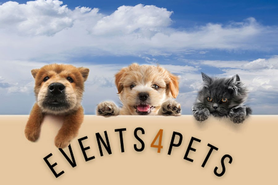 Events4Pets - Ihr Portal für Tier Events und Inserate: Hundeschule, Dogwalker, Physiotherapie, Welpen, Junghunde, Erziehung, Discdogging, Fotoshooting, Sozial Walk, Agility, Military, Schnüffeln, Mantrailing, Longieren, Treffen, Workshop, Tierbetreuung, Hundesport, Tierprodukte, Antijagt, Begegnungen